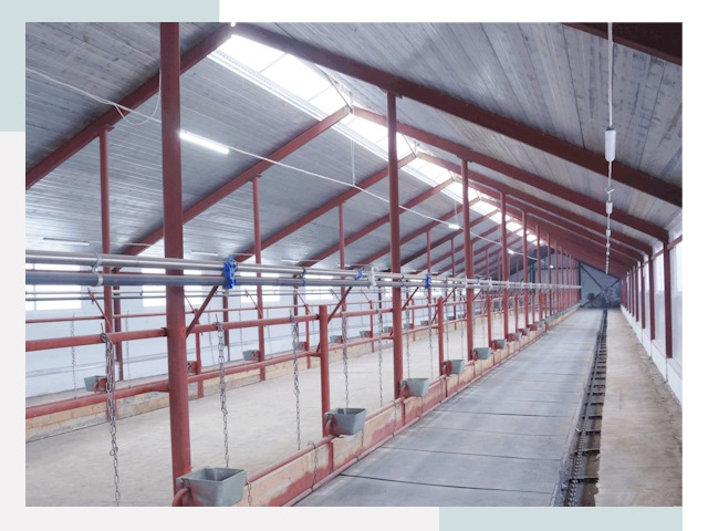 Строительство коровников в Озерске от 609 руб.