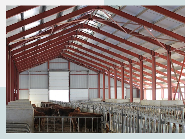 Строительство коровников в Озерске