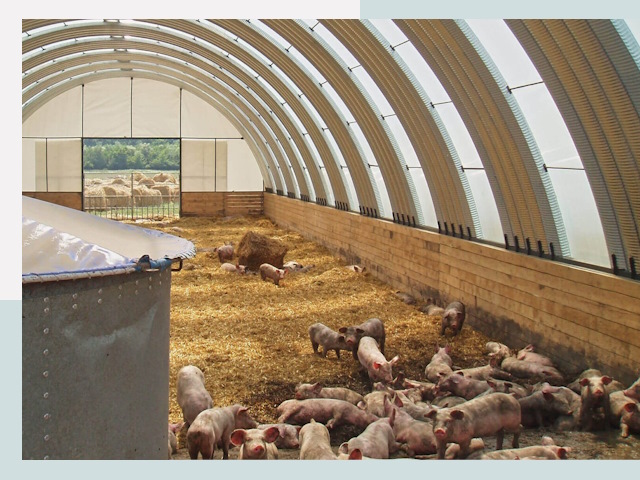 Строительство свинарников в Озерске