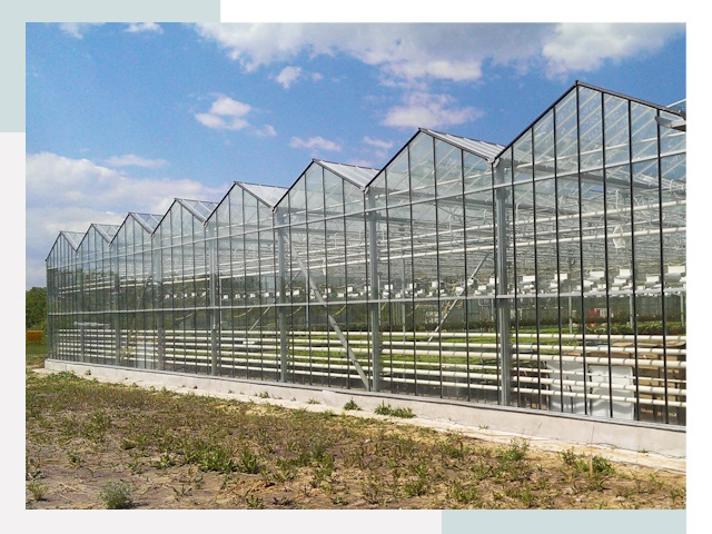 Строительство теплиц в Озёрск от 609 руб. за м²