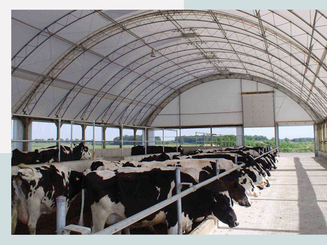 Тентовые коровники в Озерске